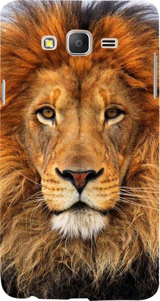 400 Lion Attitude Images, Stock Photos & Vectors | Shutterstock