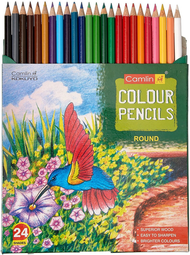 Camlin shop colour pencils