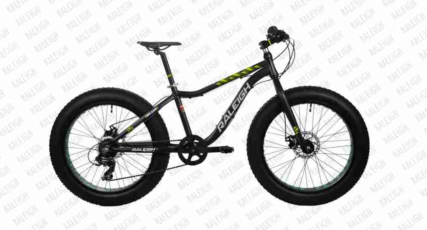 Raleigh big sam 21 speed price on sale