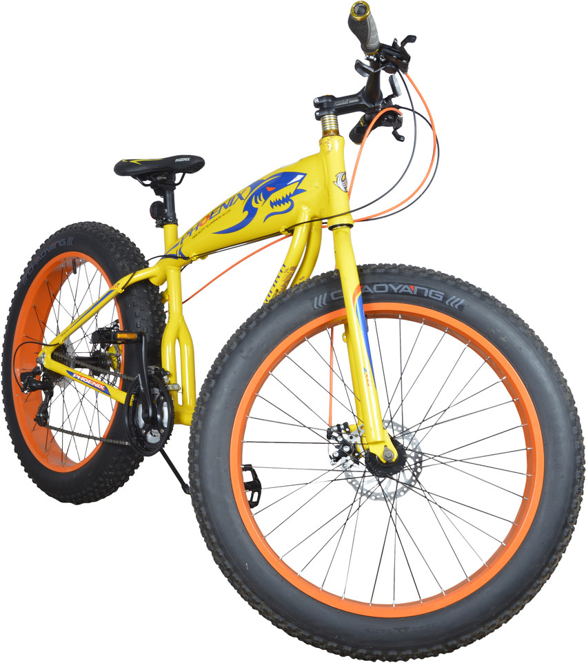 Phoenix outlet fat bike