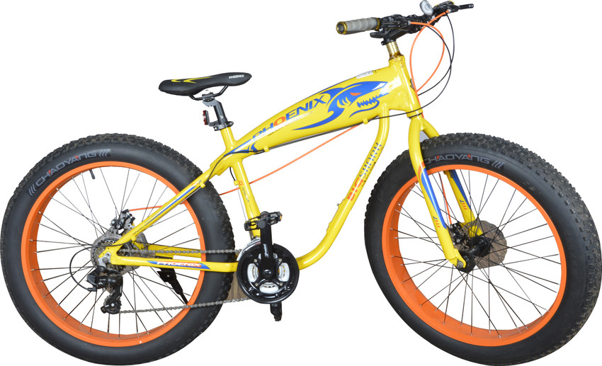 Phoenix fat bike new arrivals