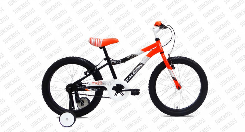 Raleigh 20 sales inch bike