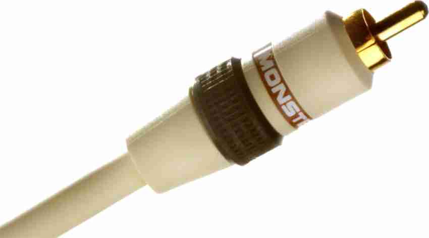 Monster 100-ft Audio Cable in the Audio Cables department at