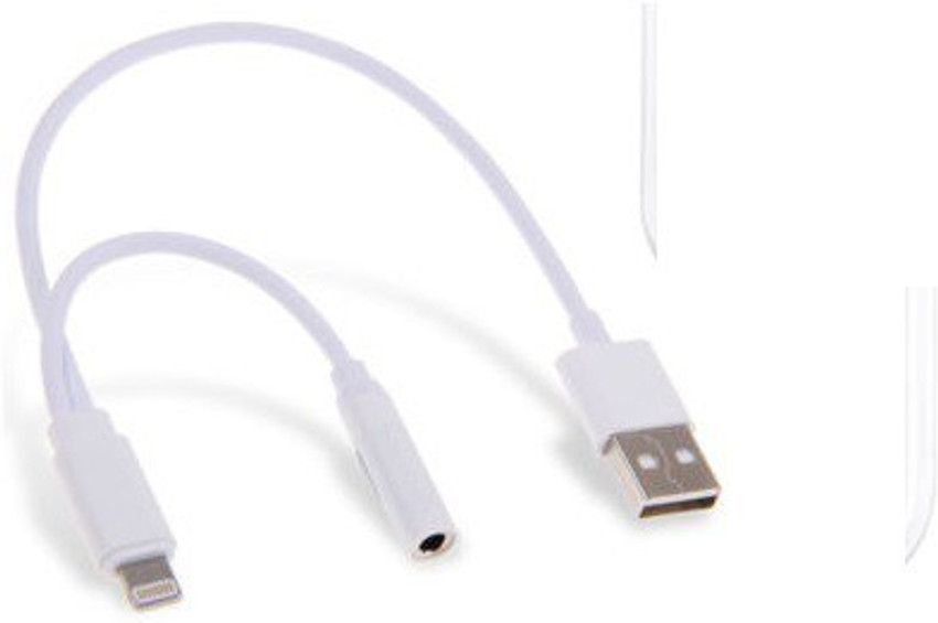 BB4 AUX Cable 0.2 m Lightning To 3.5mm Headphone Jack Adapter