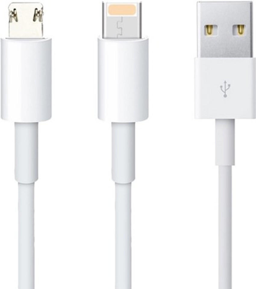 Dual lightning cable store