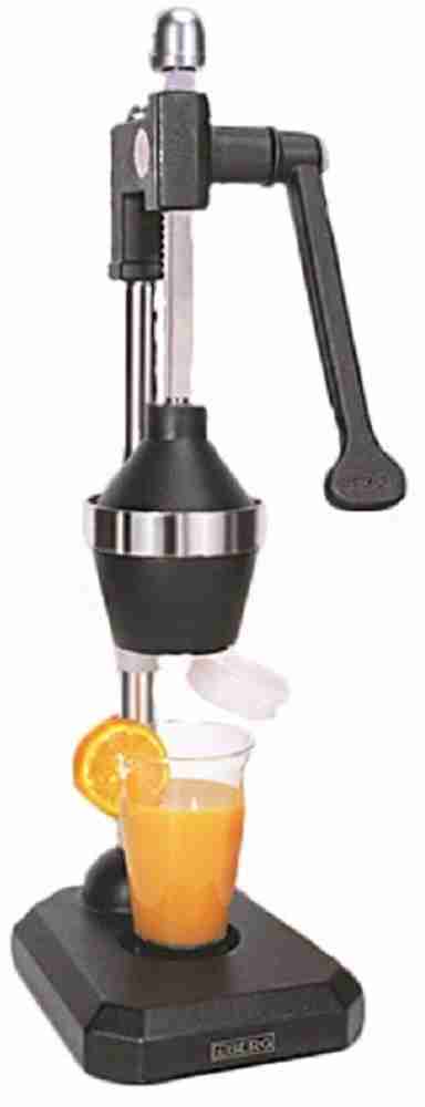 Berg juicer 2024