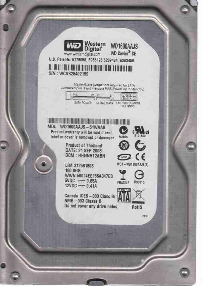 WD WD Caviar® SE 160 GB Desktop Internal Hard Disk Drive (HDD