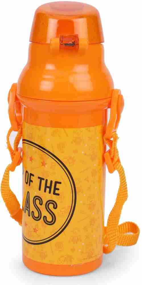 Printed Water Bottle - Yellow/Despicable Me - Kids