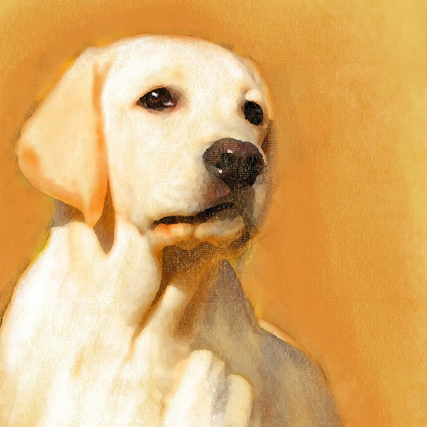 Canvas store painting dog