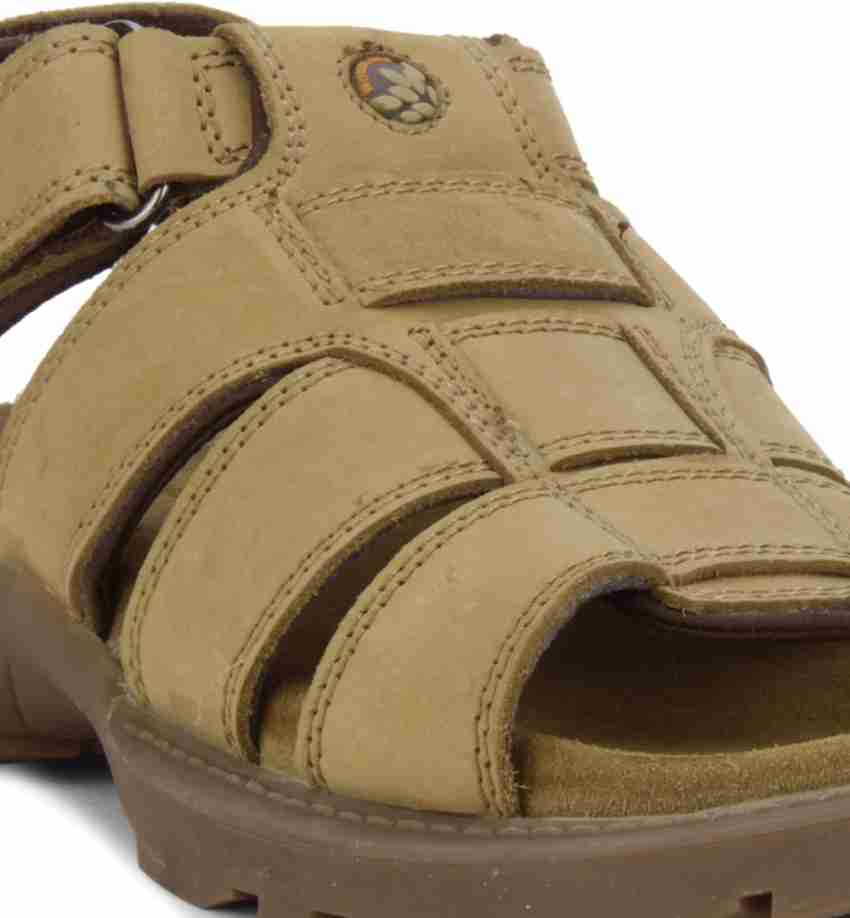 Woodland 2024 sandals flipkart