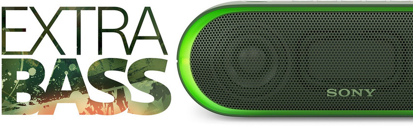 Sony shop xb20 watts