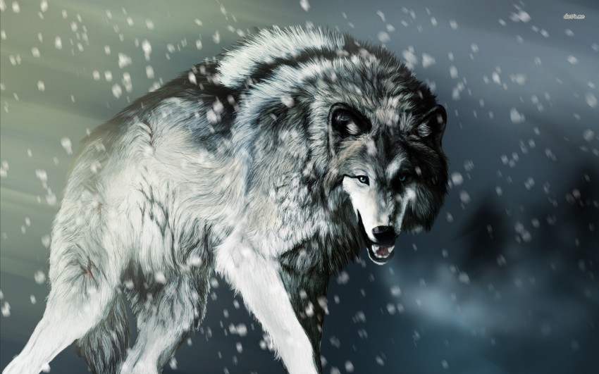White Wolf In Angry Mode HD wallpaper