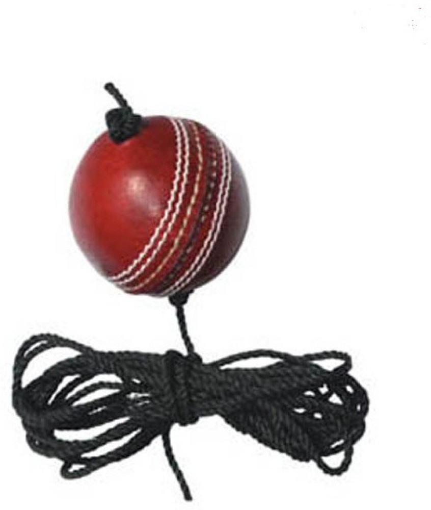 SKERA Practice Match Hanging Leather Cricket Ball Cricket Tennis Ball - Buy SKERA Practice Match Hanging Leather Cricket Ball Cricket Tennis Ball Online at Best Prices in India