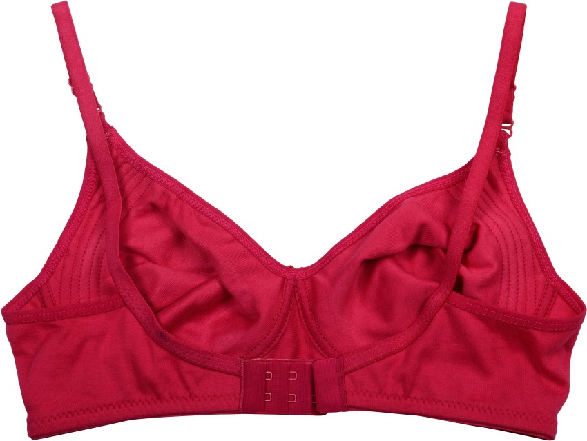 Bra Aveeno Ladies Undergarments, Model Name/Number: Alies Feeding at best  price in Pune