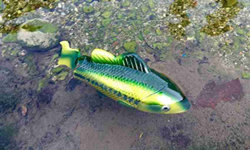 Rittle Large Mouth Bass Realistic Swimming Fish Water Pool And Bath Toy 8 Battery Operated Bath Toy Large Mouth Bass Realistic Swimming Fish Water Pool And Bath Toy 8 Battery Operated shop