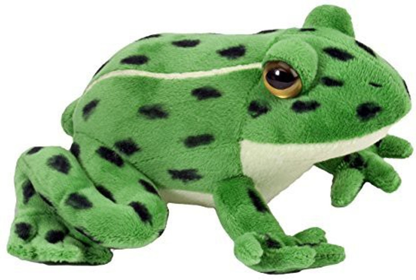 Wild republic on sale frog