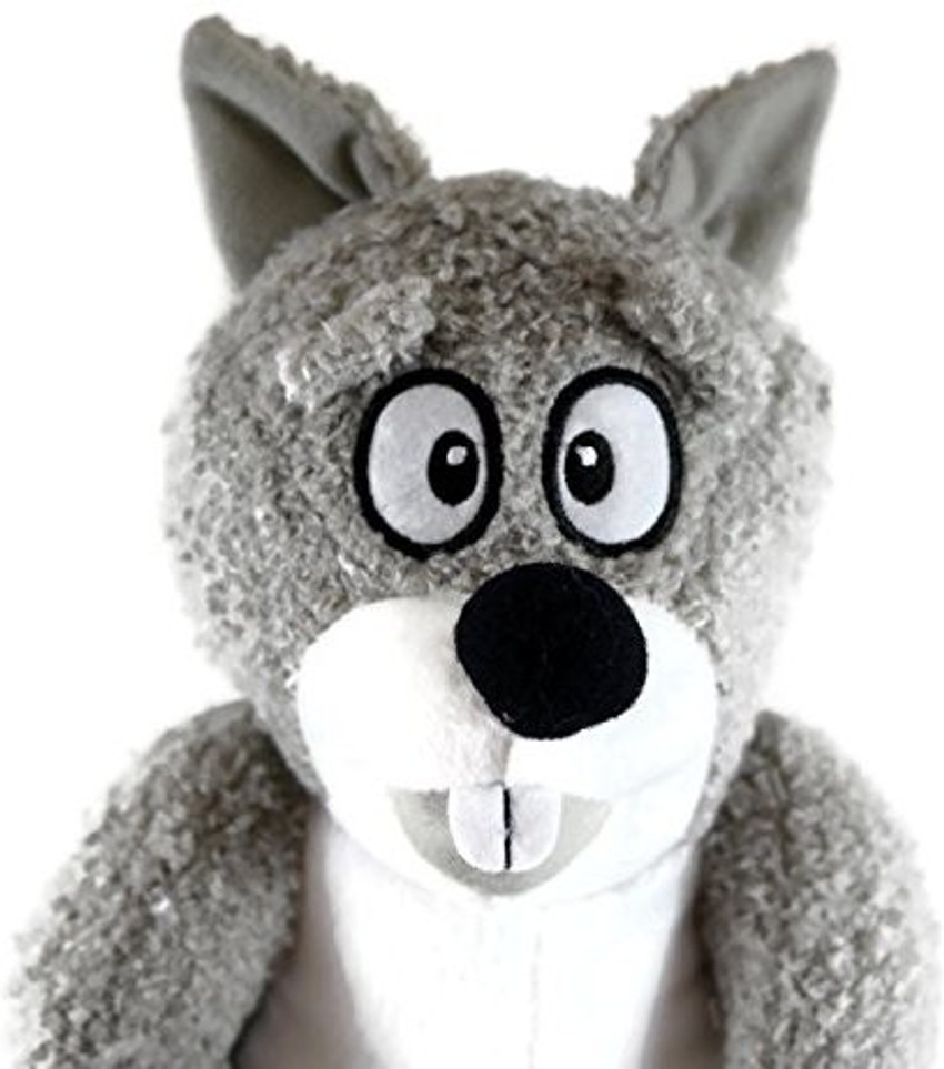 Ugly Ted Squirky Squirrel Best Friend To World S Ugliest Teddy