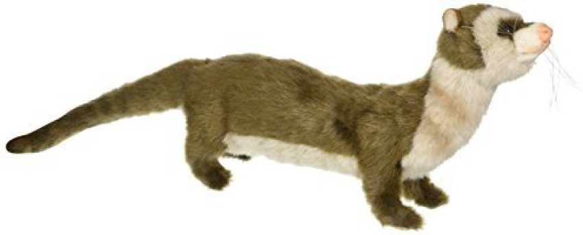 Hansa Ferret Plush 7.8 inch Ferret Plush Buy Ferret toys in India. shop for Hansa products in India. Flipkart