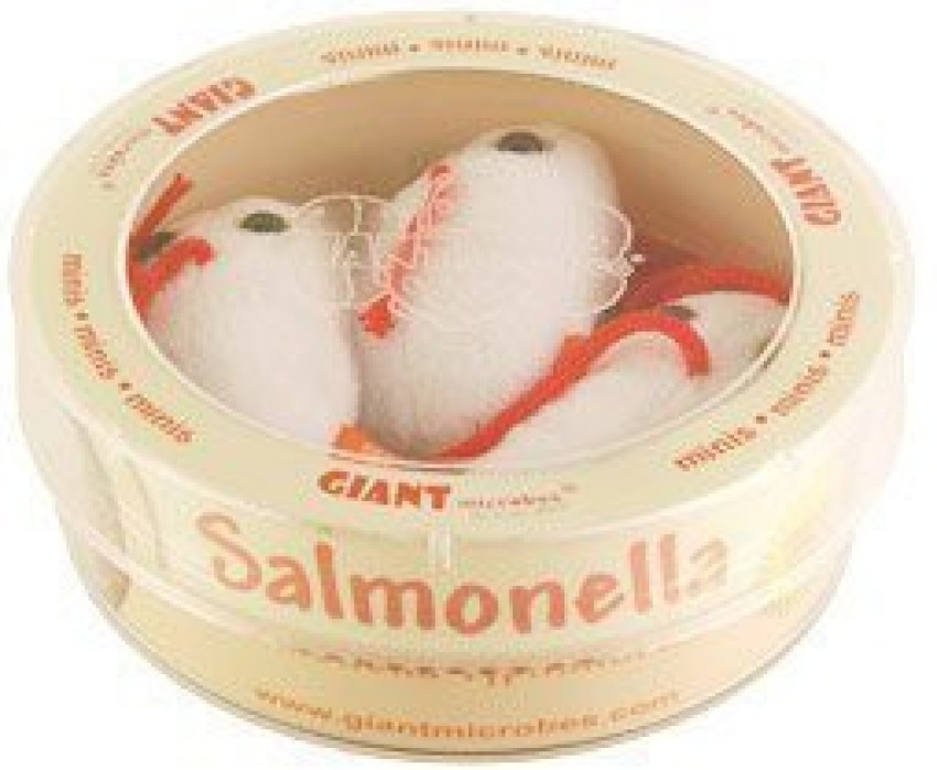 giant microbes salmonella