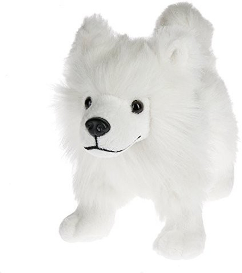 Webkinz samoyed 2025