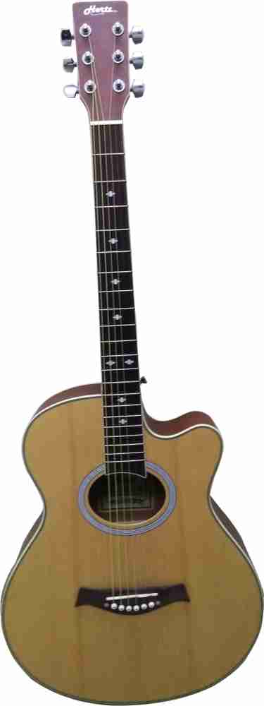 Hertz 6000 guitar top