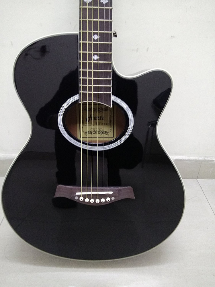 Hertz 6000 guitar discount