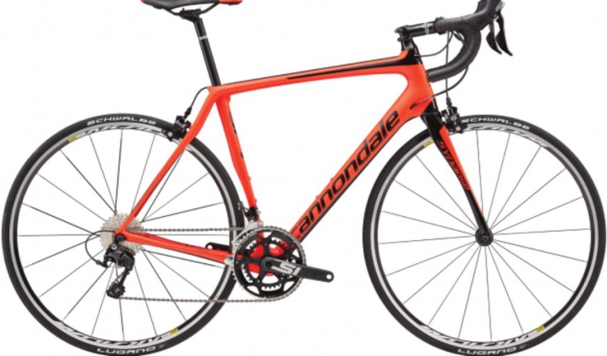 Cannondale synapse 2024 cena