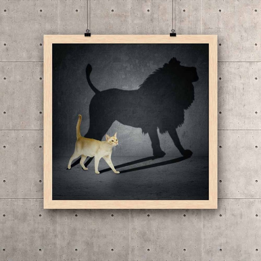 Scaredy Cat Wall Art, Canvas Prints, Framed Prints, Wall Peels