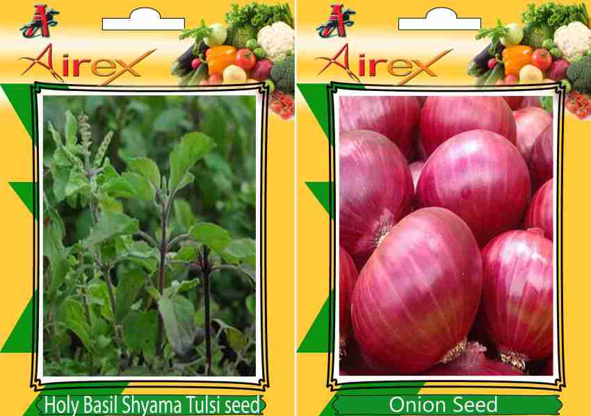 Airex Holy Basil Shyama Tulsi Onion Seed Price in India Buy