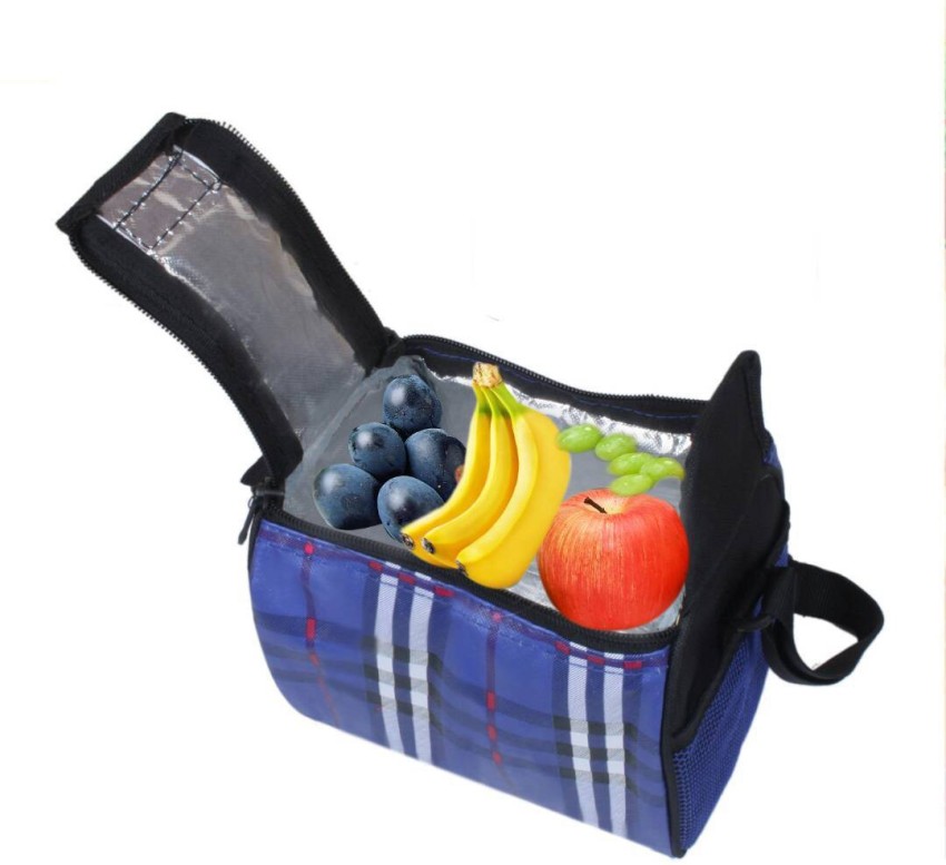Lunchbox in Blue Check