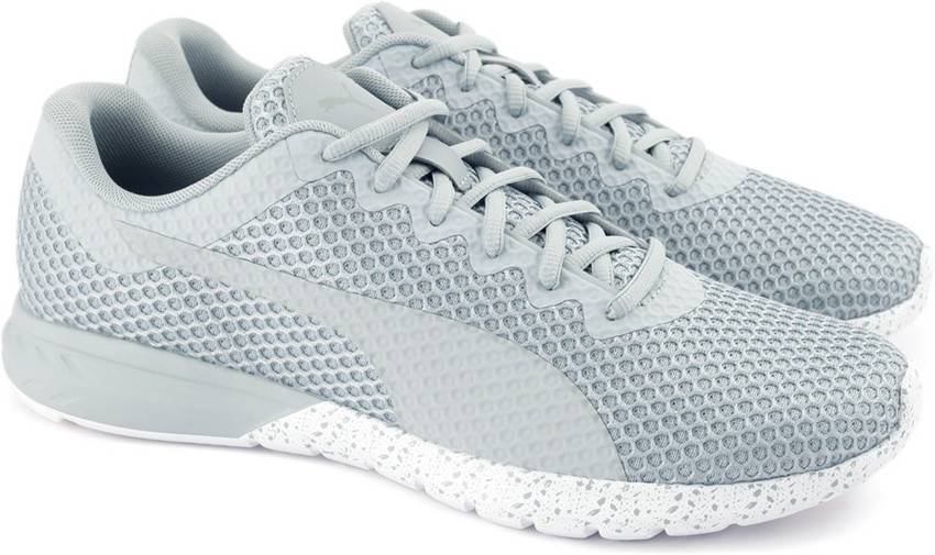 Quarry puma white best sale