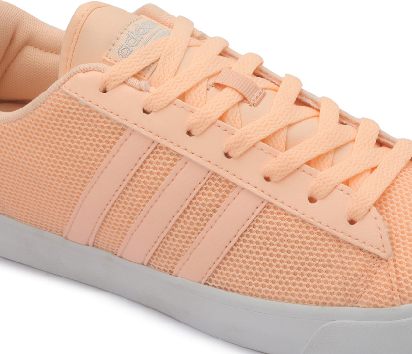 ADIDAS NEO CF DAILY QT W Sneakers For Women Buy HAZCOR HAZCOR