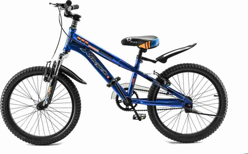 Boys 20 best sale inch bike blue