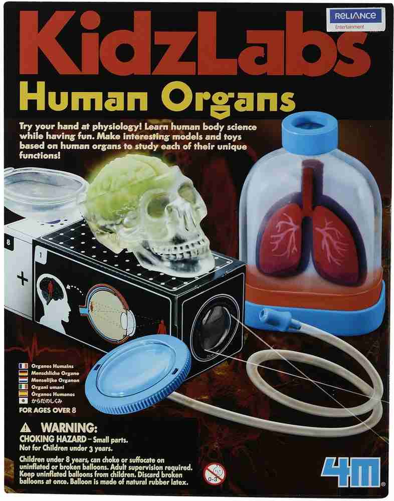 Kidz labs human discount organs