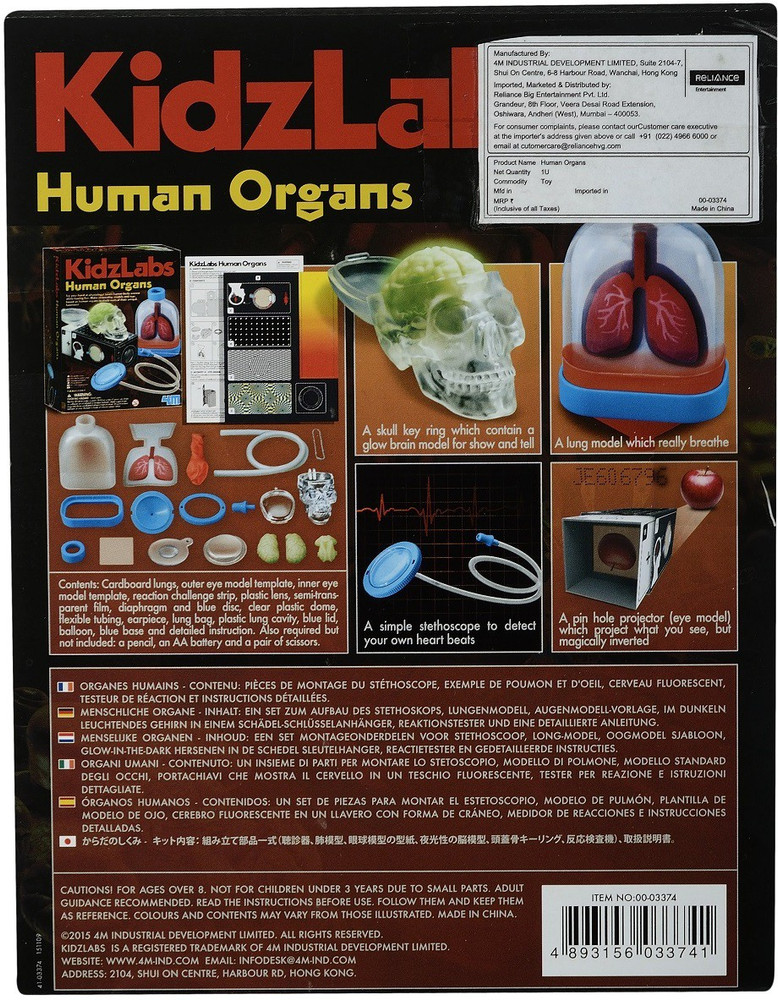 Kidz labs human organs shop