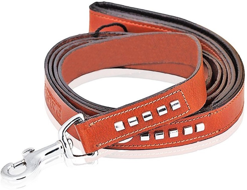 PSK PET MART 212 cm Dog Martingale Leash Price in India - Buy PSK PET MART  212 cm Dog Martingale Leash online at