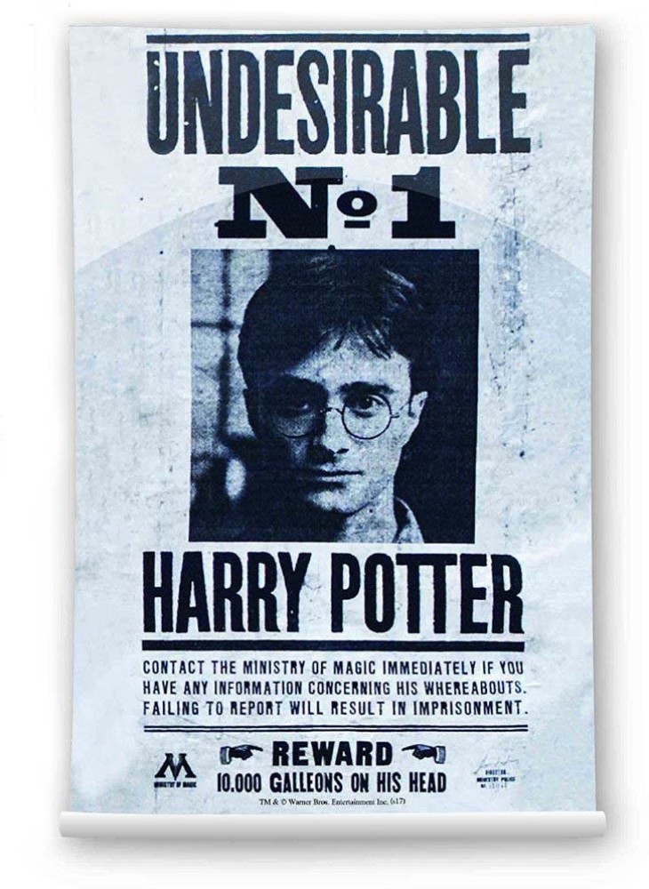 Maxi Poster Harry Potter 1 con Ofertas en Carrefour