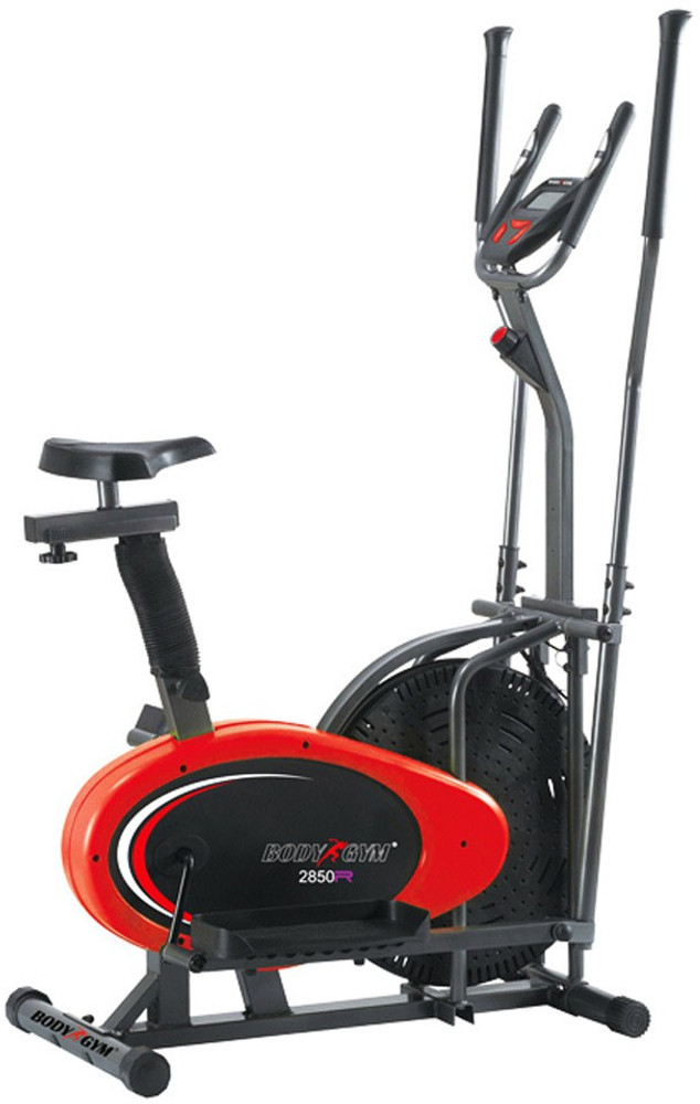 Body gym exercise 2025 cycle
