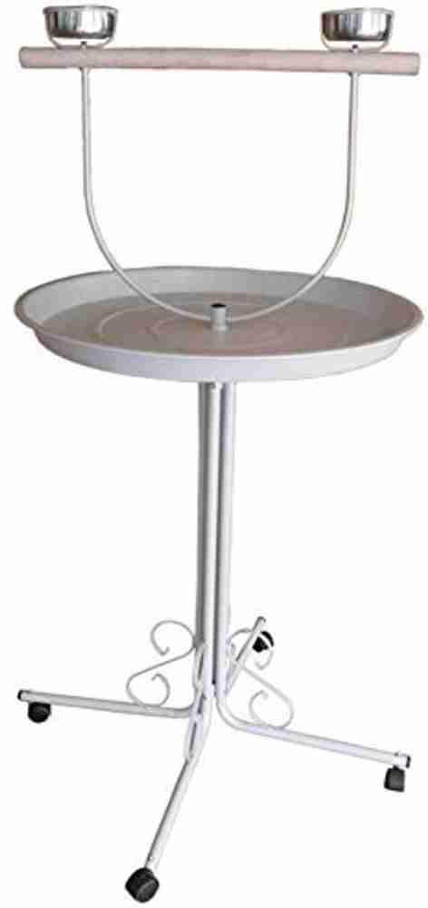 Grey parrot stand top