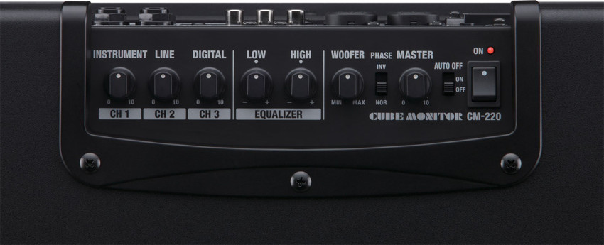 Roland Roland CM-220 Cube Monitor Guitar Processor Price in India 