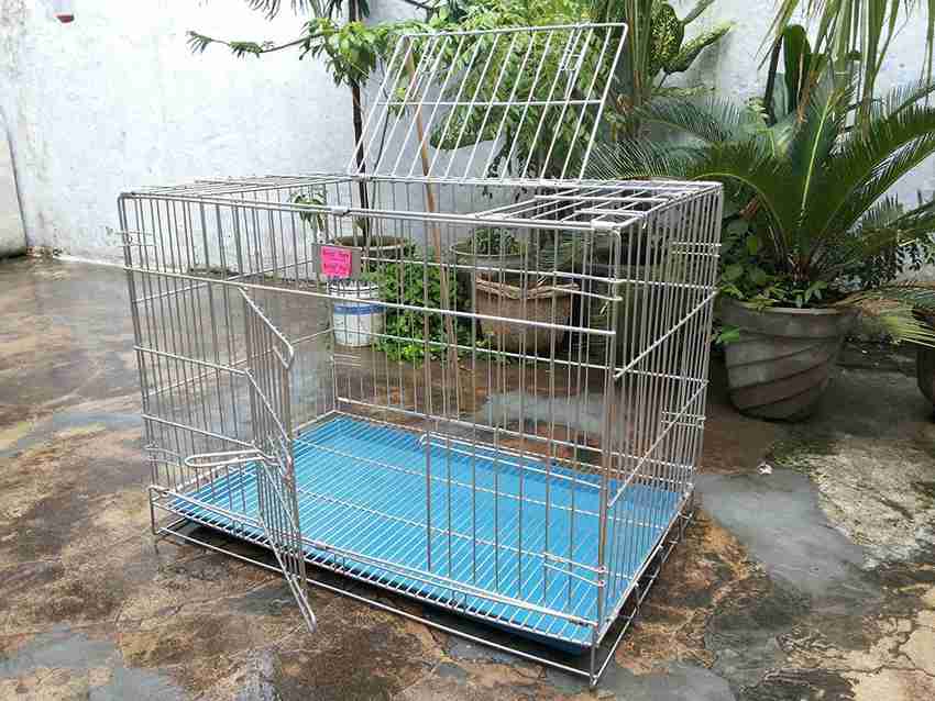 Parrot cheap pinjra online