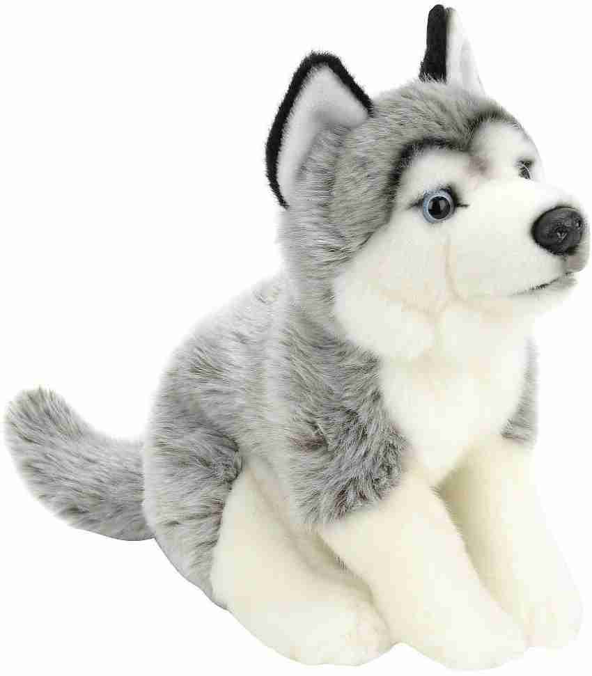 https://rukminim2.flixcart.com/image/850/1000/j79czgw0/stuffed-toy/y/w/j/plush-10-inch-husky-gray-and-white-10-toys-r-us-original-imaexjefn22vxj23.jpeg?q=20