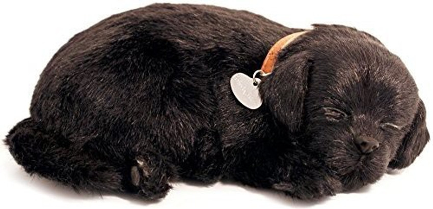 UNLIMITED Perfect Petzzz Labrador Breathing Puppy Dog Plush Set carrier Bed 5.25 inch Perfect Petzzz Labrador Breathing Puppy Dog Plush Set carrier Bed Buy Puppy Dog toys in India