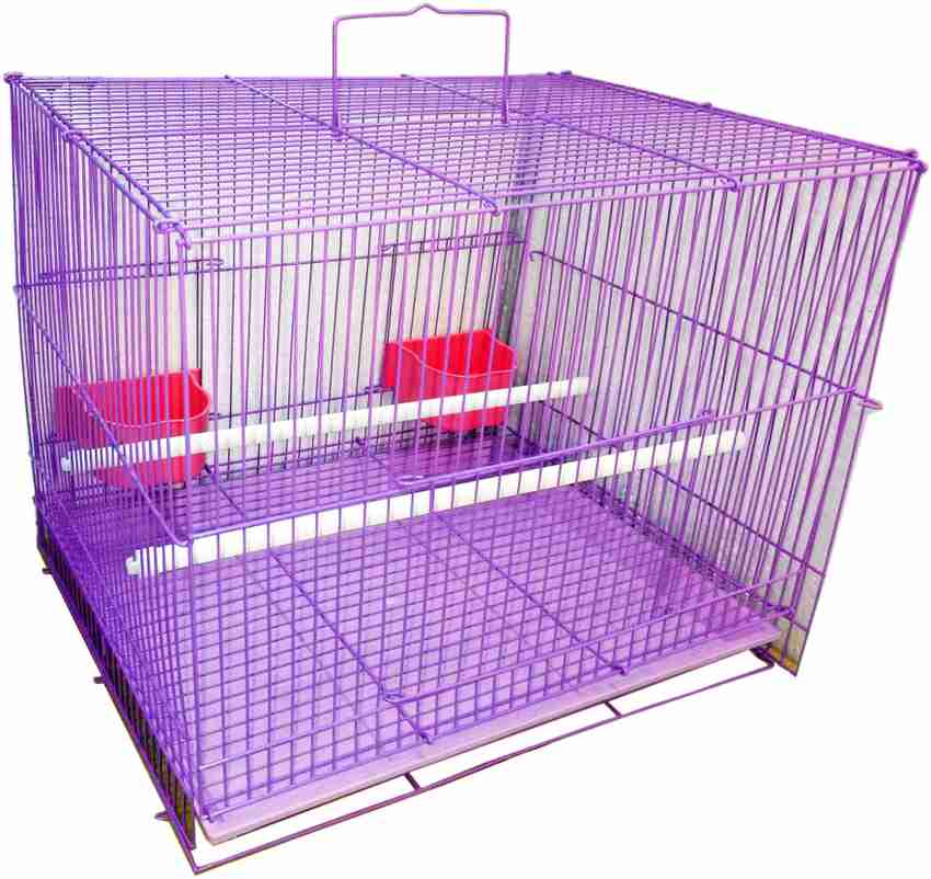 Parrot pinjra sale online