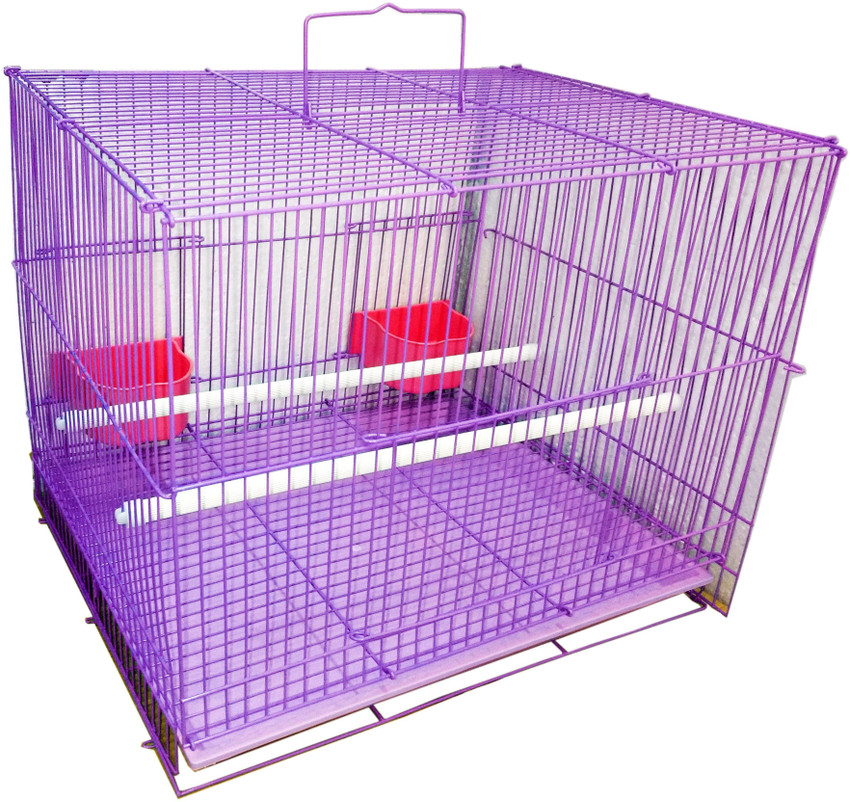Parrot hotsell pinjra price