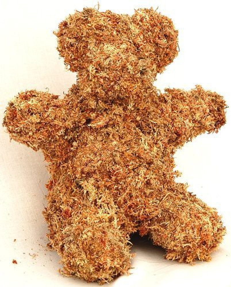 The works teddy bear outlet