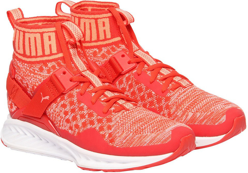 Puma ignite evoknit 3 women orange outlet