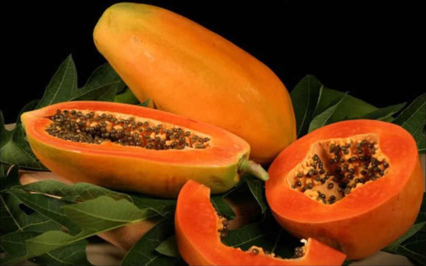creative farmer Taiwan Papaya Lady Hybrid Pappaya Seeds Fruit Seeds For  Garden Seed Price in India - Buy creative farmer Taiwan Papaya Lady Hybrid  Pappaya Seeds Fruit Seeds For Garden Seed online