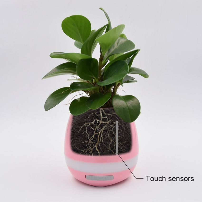 Bluetooth 2025 flower pot