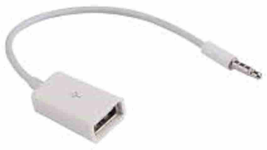 Adaptador jack USB C a plug micro USB